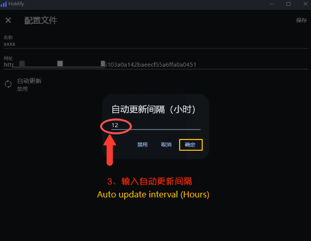 Hiddify setup screenshot (d)